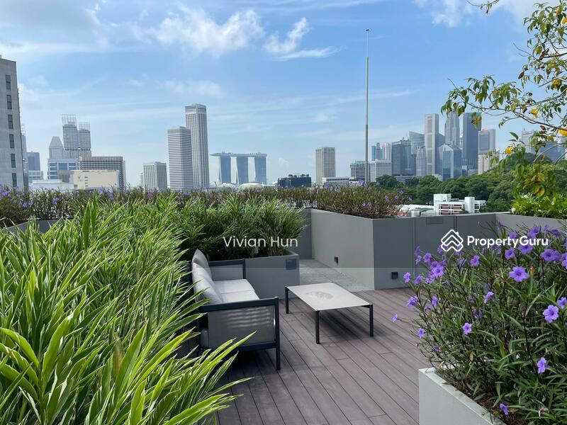 Roof garden