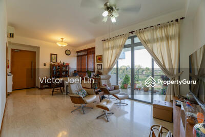 For Sale - Viz at Holland
