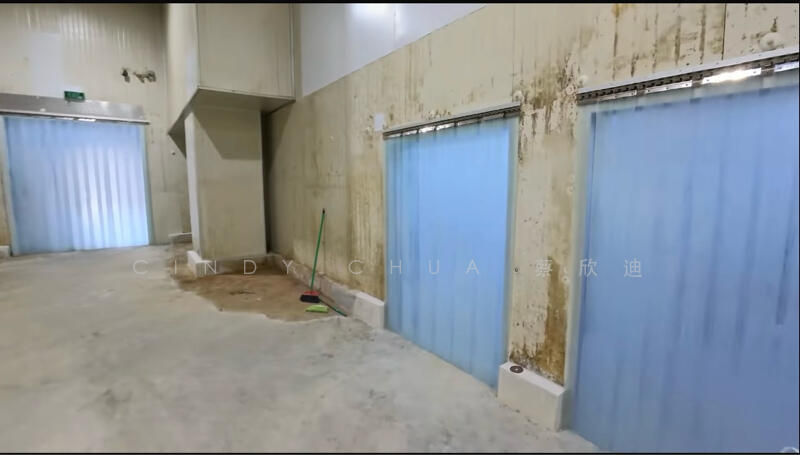 Tuas Bay Walk, TUAS BAY WALK, Boon Lay / Jurong / Tuas, 5,213 sqft, Factory / Workshop (B2) For Rent, by Cindy Chua 蔡欣迪, 25636112 - CommercialGuru.com.sg