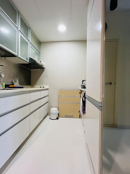 RV Suites, 396 River Valley Road, 1 Bedroom, 527 sqft, Apartment For Rent, by Serene Chua, 25640919 - Kitchen - PropertyGuru.com.sg