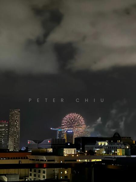 Fireworks View