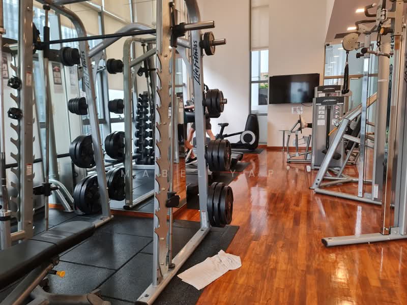 Icon, 10 Gopeng Street, 2 Bedrooms, 904 sqft, Apartment For Rent, by Mabel Yap, 25641448 - Gym - PropertyGuru.com.sg