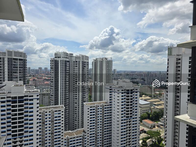 Living Room View