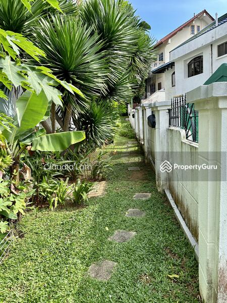 Beside Side Walk Garden 