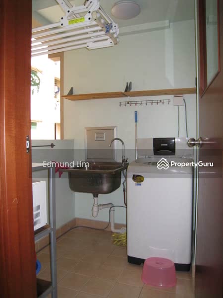 The Gardens at Bishan, 1 Sin Min Walk, Ang Mo Kio / Bishan / Thomson, 2 Bedrooms, 883 sqft, Condominium For Rent, by Edmund Lim, 2628258 - backyard with wash basin - PropertyGuru.com.sg