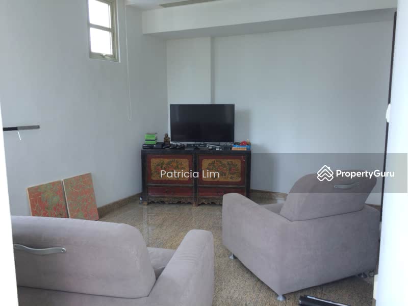 The Twins Apartment For Sale at S$ 9,800,000 | PropertyGuru Singapore - tv room