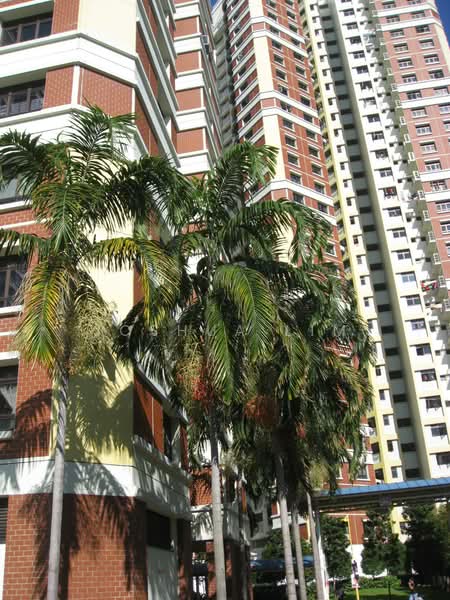 Redhill Road, Redhill Road, 3 Bedrooms, 1,076 sqft, HDB Flat For Rent, by Joshua Lim, 3941960 - PropertyGuru.com.sg