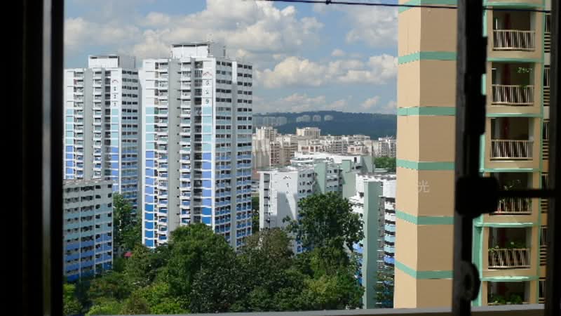 For Rent - 208 Boon Lay Place