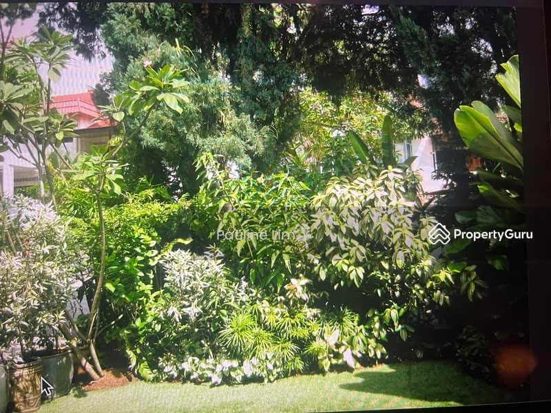 Namly drive, , 4 Bedrooms, 4,000 sqft, Semi-Detached House For Rent, by Pauline Lim, 4002229 - PropertyGuru.com.sg