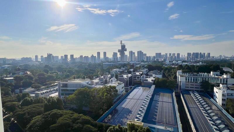 View from living room 