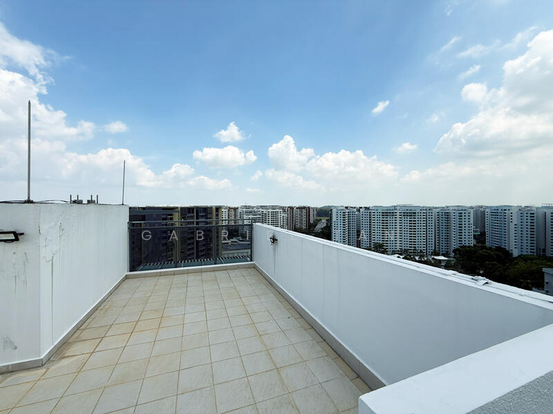 Roof Terrace
