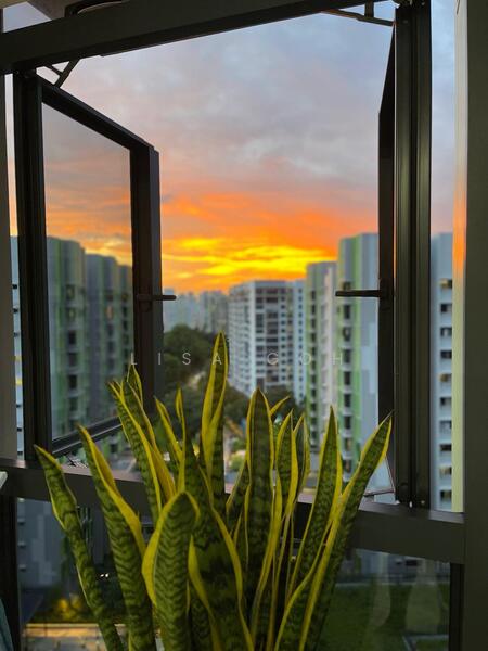 View from living room