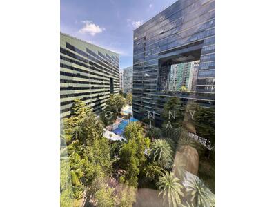 For Rent - Orchard Scotts