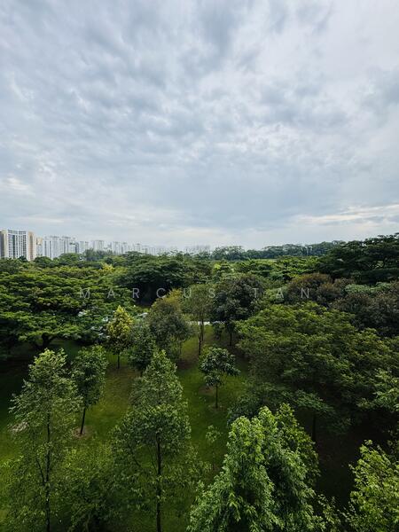 Unblocked Greenery View