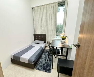 For Rent - The Tessarina