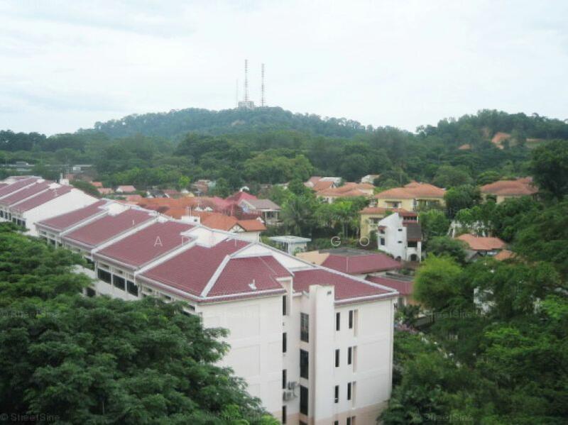 overlooked Bukit Timah Hill