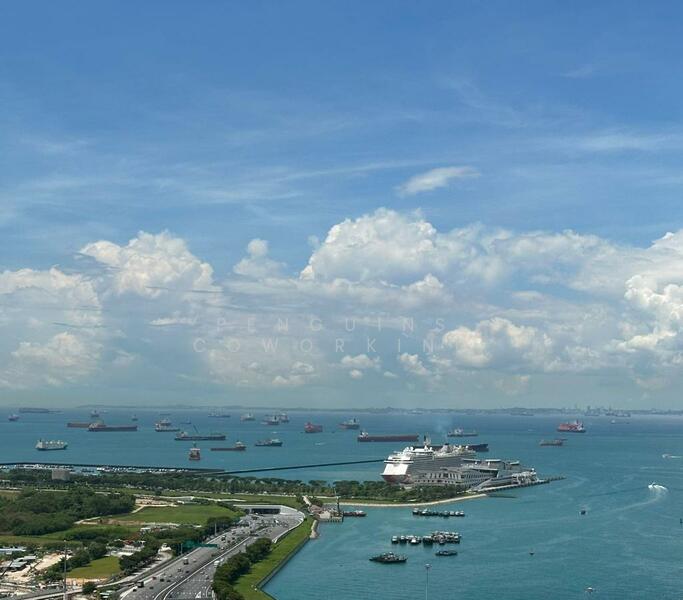 International Plaza, 10 Anson Road, 80 sqft, Office For Rent, by Penguins Coworking, 500003603 - Sea View - CommercialGuru.com.sg