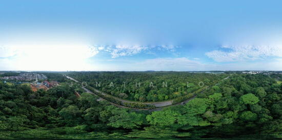 Springleaf Residence