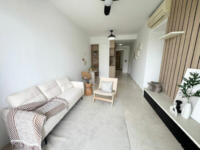 For Sale - Skies Miltonia