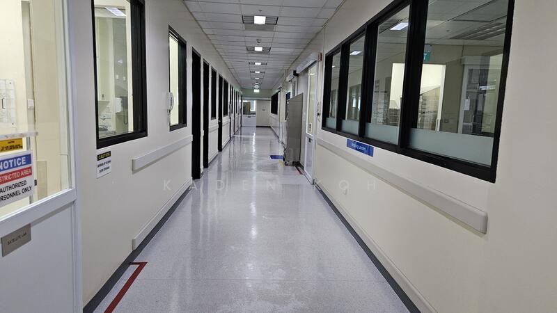 Premium Industrial and Laboratory Space in Tuas Biomedical Park, Tuas South Avenue 4, 8,250 sqft, Factory / Workshop (B2) For Rent, by Kaden Koh, 500005807 - Corridor - CommercialGuru.com.sg