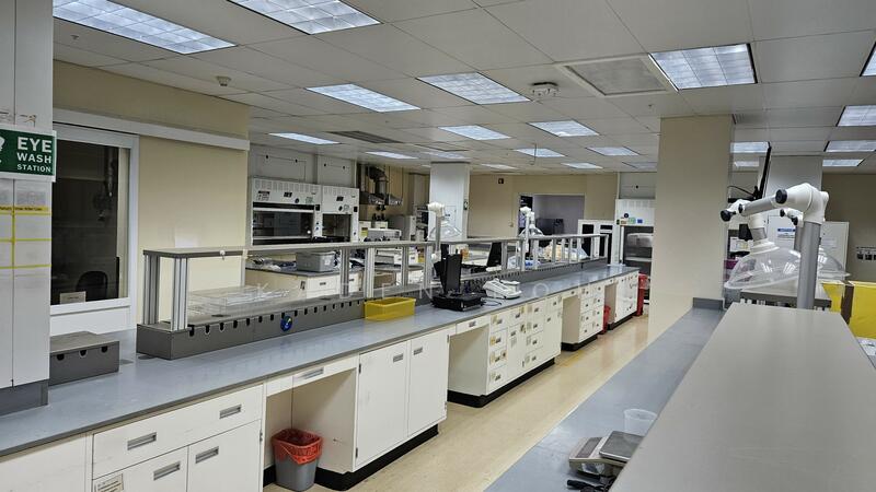 Premium Industrial and Laboratory Space in Tuas Biomedical Park, Tuas South Avenue 4, 8,250 sqft, Factory / Workshop (B2) For Rent, by Kaden Koh, 500005807 - Laboratory - CommercialGuru.com.sg
