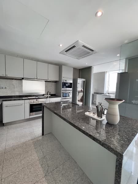 Draycott Eight, 8 Draycott Park, 4 Bedrooms, 2,896 sqft, Condominium For Sale, by William Oo, 500005873 - Kitchen - PropertyGuru.com.sg