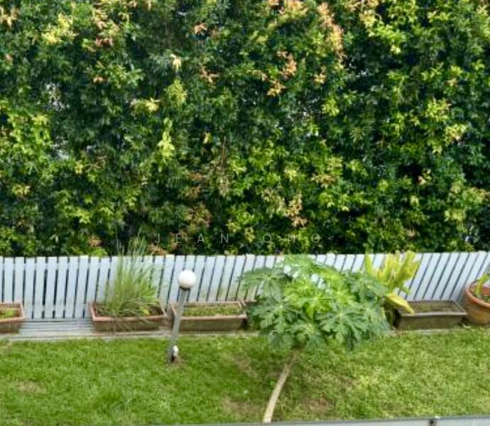 1KM NANYANG PRI. RARE 2 STY SEMI-D. REGULAR ELEVATED LAND. WIDE FRONTAGE. JEAN 93571119, Namly / Coronation Road / Lantana / Greenleaf, Tanglin / Holland / Bukit Timah, 4 Bedrooms, 3,000 sqft, Semi-Detached House For Sale, by Jean Ong, 500006990 - Garden - PropertyGuru.com.sg