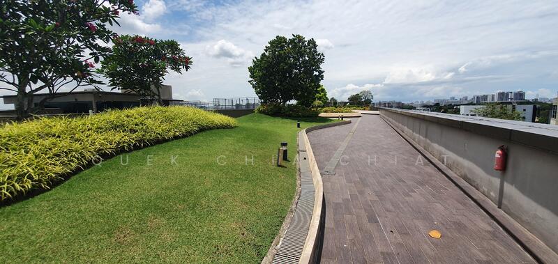 Tag.A, 81 Tagore Lane, Mandai / Upper Thomson, 5,532 sqft, Light Industrial (B1) For Sale, by Gerald Quek, 500007416 - Rooftop Landscape - CommercialGuru.com.sg