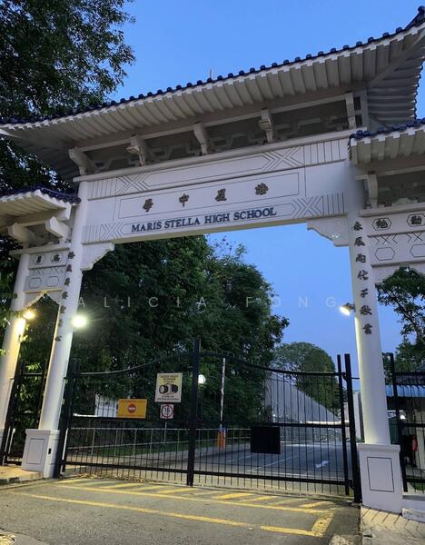 D19 Serangoon Detached House For Sale at S$ 15,000,000 | PropertyGuru Singapore - Others