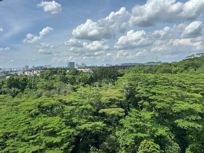 For Sale - 117 Clementi Street 13