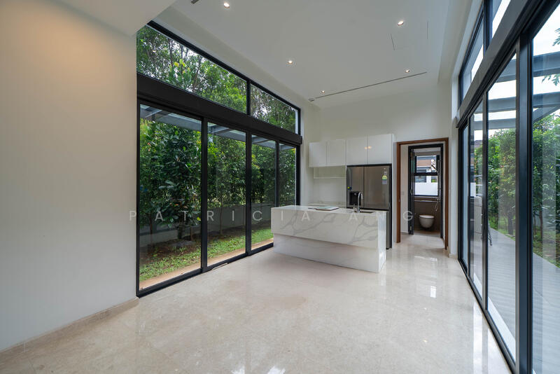Cluny Park Road, Cluny Park Road, 5 Bedrooms, 6,308 sqft, Detached House For Sale, by Patricia Ang, 500009622 - Dry Kitchen - PropertyGuru.com.sg