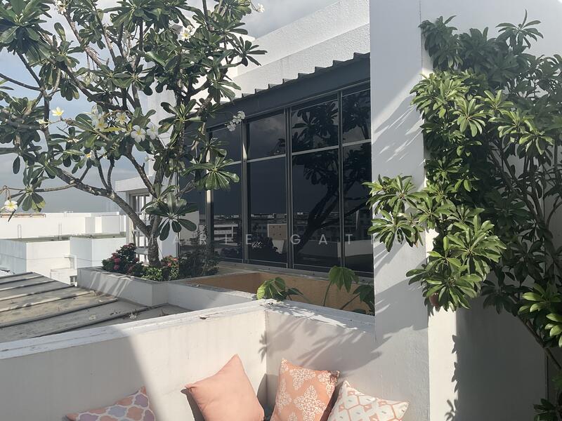 Roof Terrace with trees 