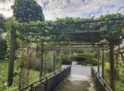 For Sale - ⭐ 18m Wide Frontage ⭐