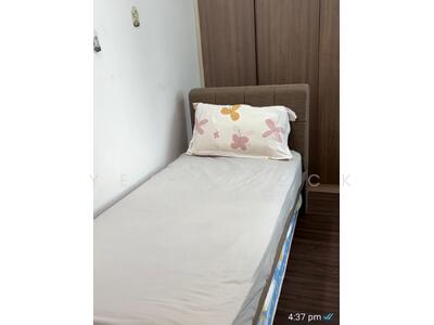 For Rent - Signature Park