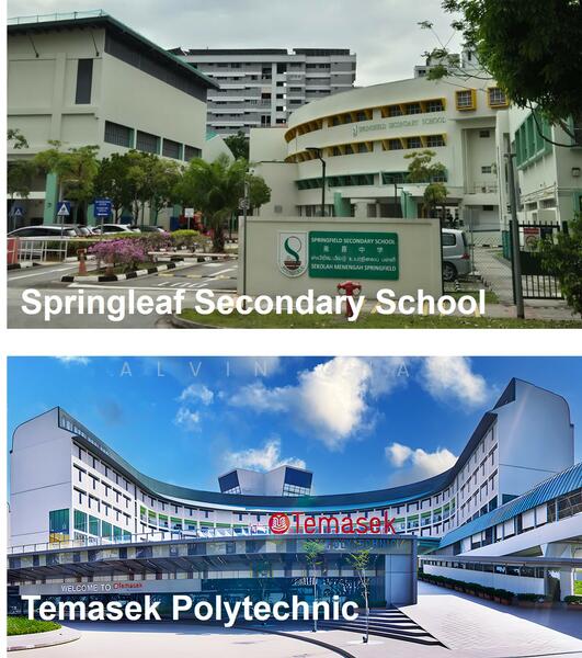 Nearby Education Institutions