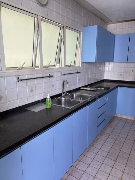 Parbury Hill Condominium Condominium For Sale at S$ 4,300,000 | PropertyGuru Singapore - Spacious Kitchen