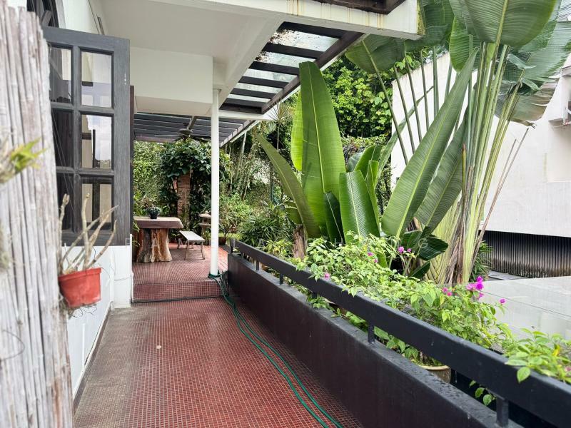 RARE ! NESTLED IN AWESOME BOTANICS ⭐️ CHARMING DETACHED NEAR BINJAI ⭐️ PARK 6 ☎️ PAM 90228600, , 6 Bedrooms, 5,000 sqft, Detached House For Sale, by Pamela Chong, 500011804 - Balcony - PropertyGuru.com.sg
