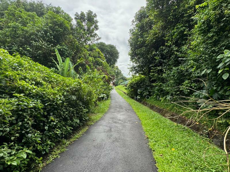 RARE ! NESTLED IN AWESOME BOTANICS ⭐️ CHARMING DETACHED NEAR BINJAI ⭐️ PARK 6 ☎️ PAM 90228600, , 6 Bedrooms, 5,000 sqft, Detached House For Sale, by Pamela Chong, 500011804 - Garden - PropertyGuru.com.sg