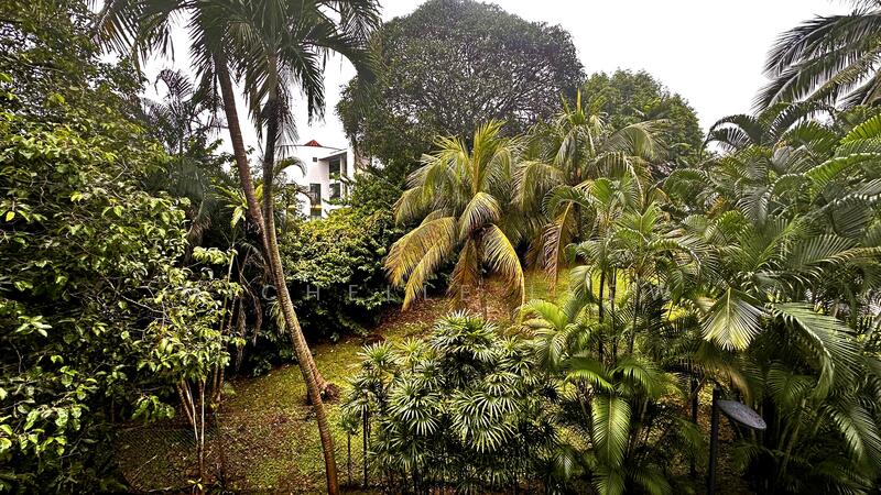 Greenery View From The Study Room