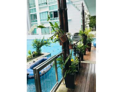 For Rent - The Stellar