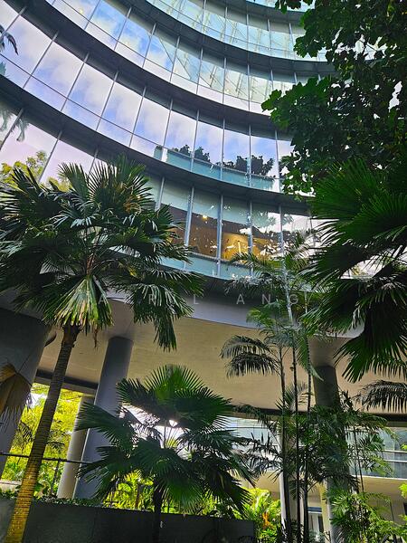Minutes Walk from Mrt Station, Buona Vista / West Coast / Clementi New Town, 3,500 sqft, Business / Science Park For Rent, by April Ang, 500013684 - Exterior - CommercialGuru.com.sg