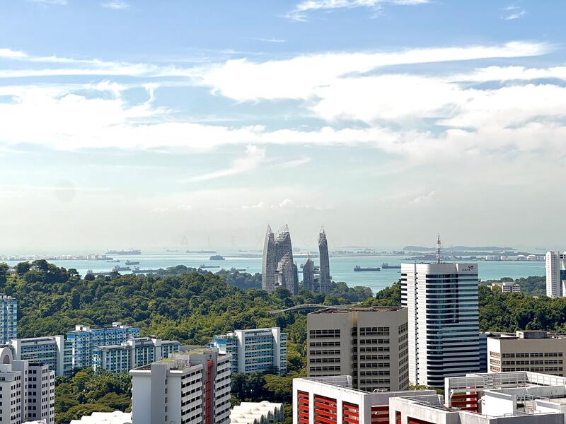 Actual View from Living and all rooms