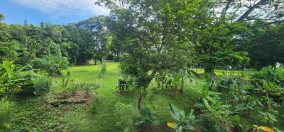 For Sale - cactus road