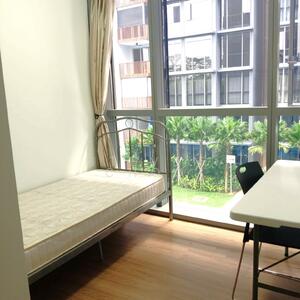 For Rent - North Gaia