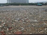 For Rent - Hardcore Openyard For Rent