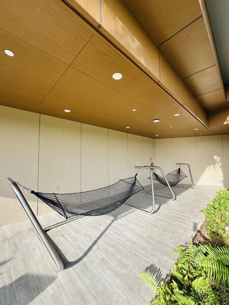 Hammock Deck