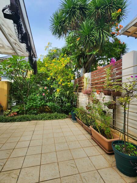 CHEAP 2.5 Sty Corner Terrace Lorong Chuan / Serangoon Gardens Corner Terrace For Sale at S$ 3,880,000 | PropertyGuru Singapore - Garden