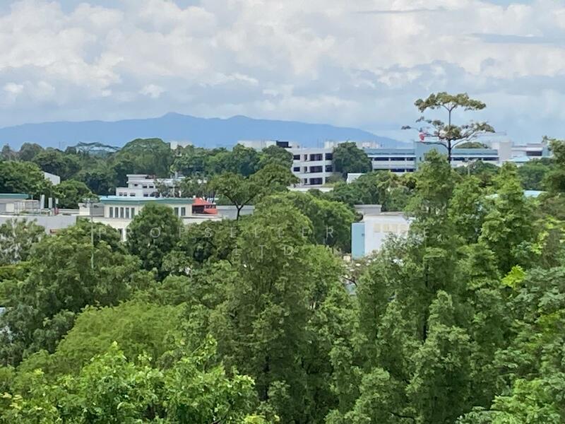 View from Study Room