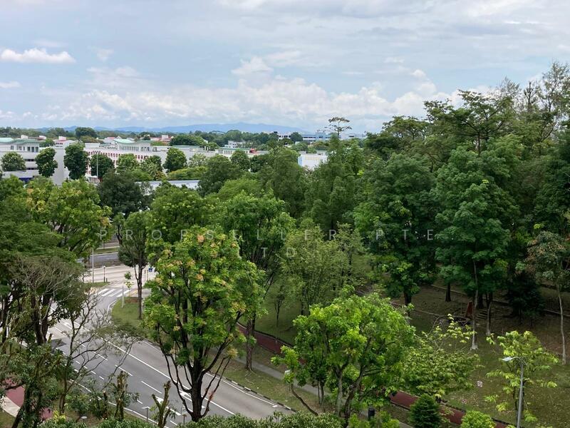 View from Living Room