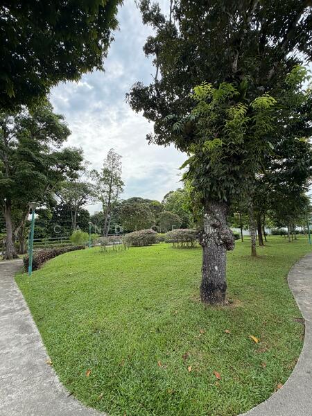 ✨RARE WATTEN GEM! ⭐️ 1km to Nanyang Primary Sch, Walk to Park 🌲& MRT, Watten/ Shelford/ Hillcrest/ Coronation Road, 4 Bedrooms, 3,000 sqft, Semi-Detached House For Sale, by Candice Tan, 500018714 - Exterior - PropertyGuru.com.sg